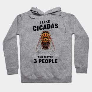 Cicada Illinois I Like Cicadas 2024 Brood XIII XIX Gift For Insect Enthusiast Maybe 3 People Hoodie